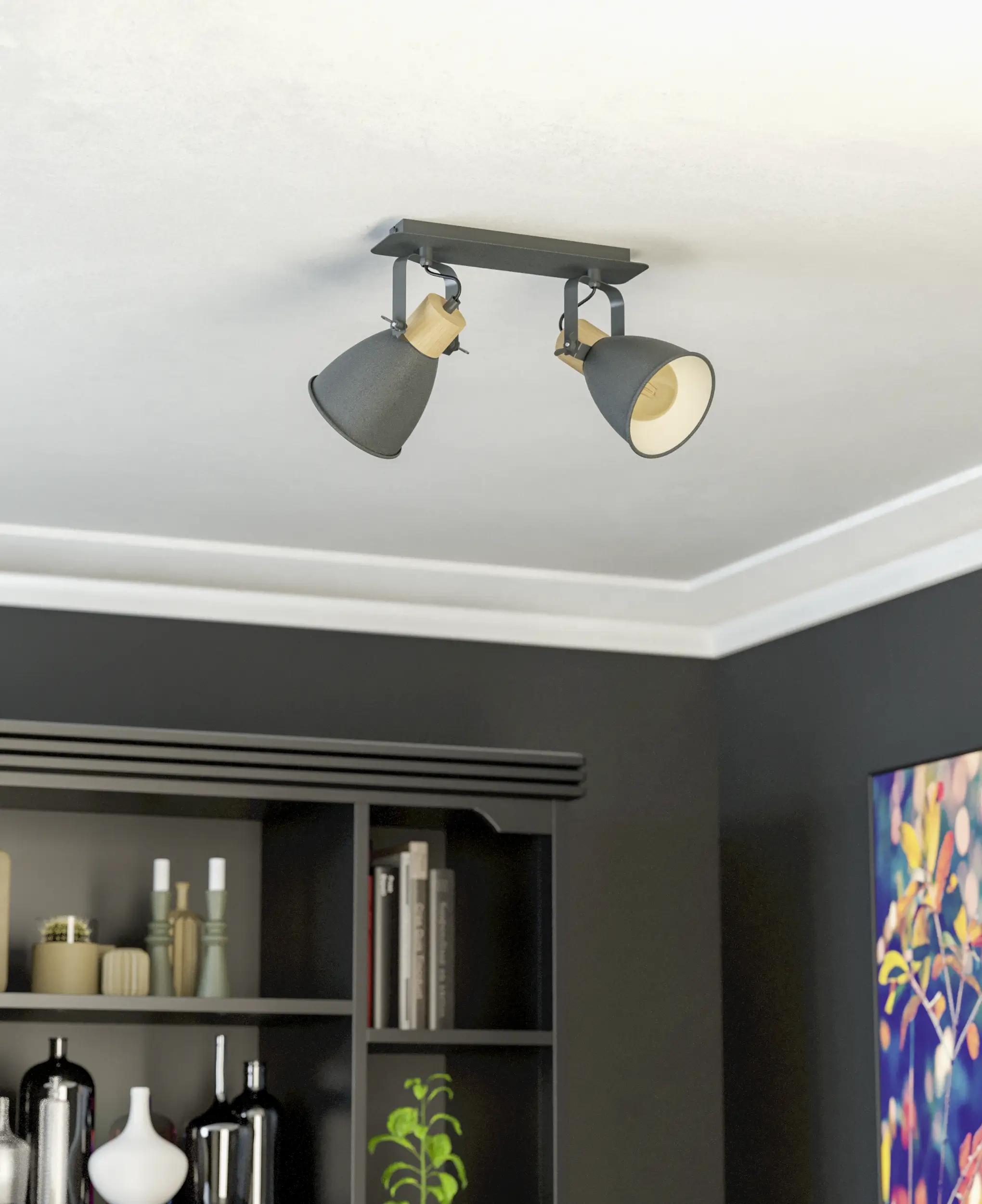 Coswarth 2-Light Adjustable Ceiling Spot Light