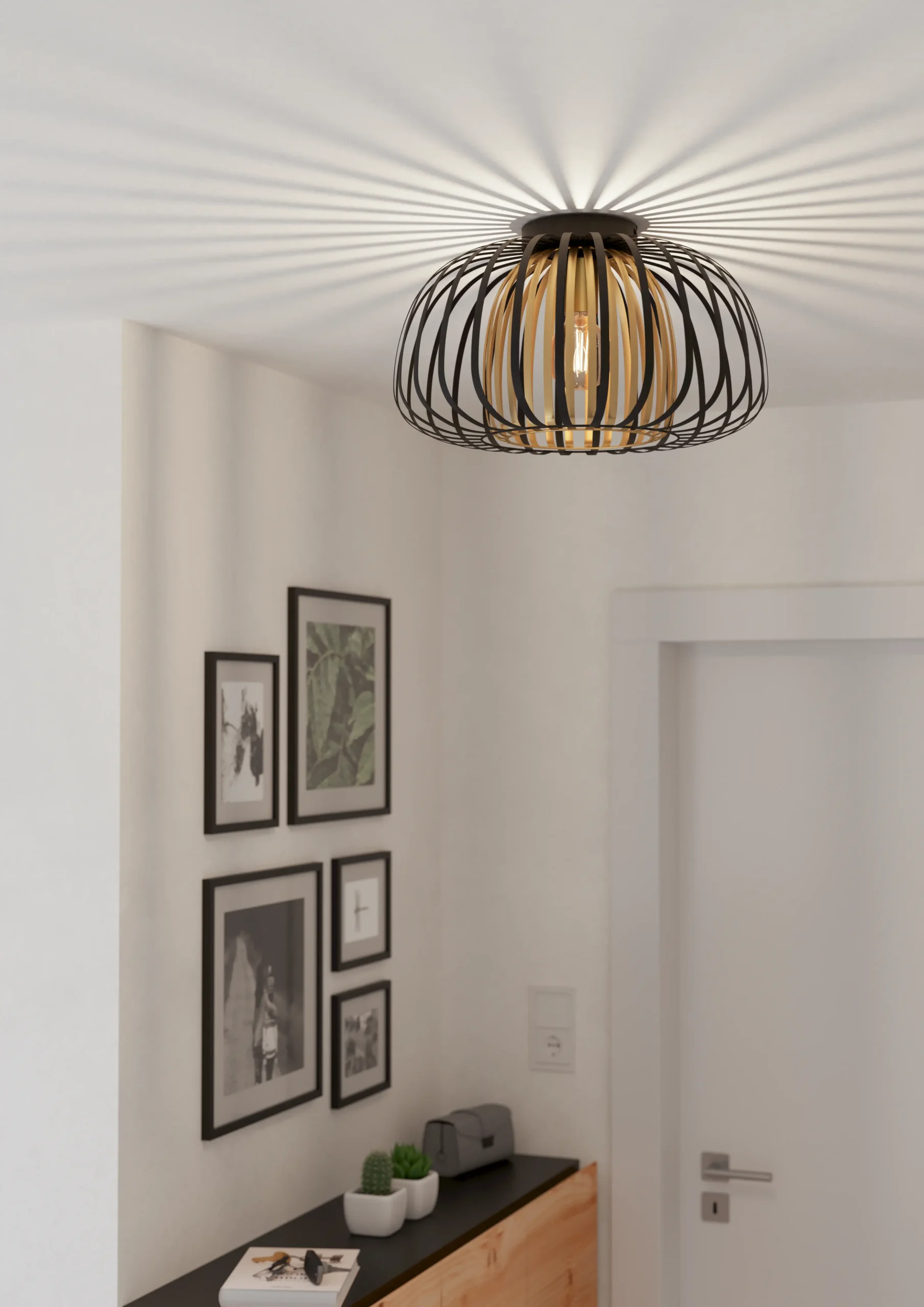 ENCINITOS Ceiling Light