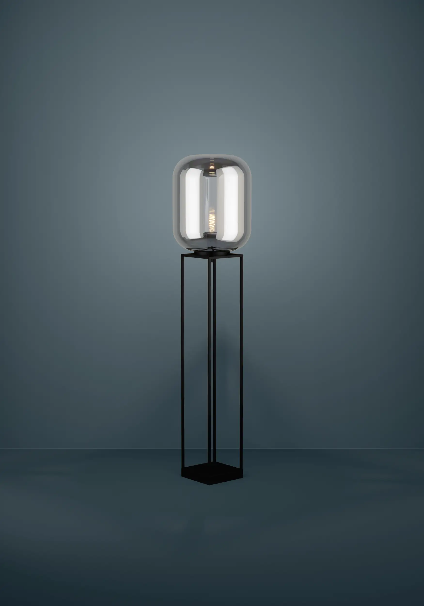 BULCIAGO Black Floor Lamp
